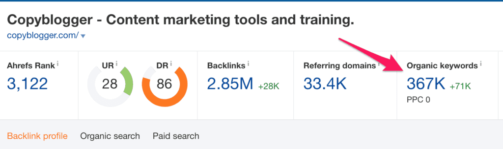 ahrefs-overview.png