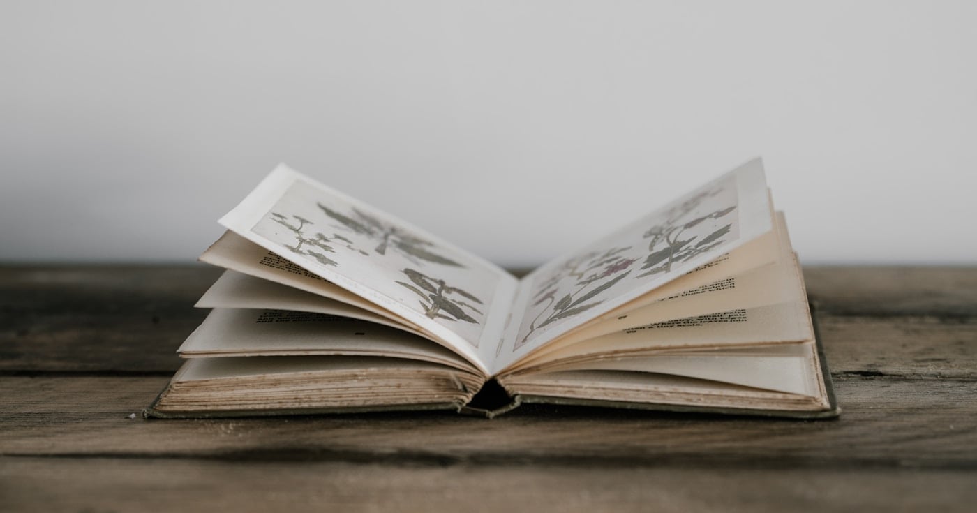 Open book with text pages — literary devices guide
