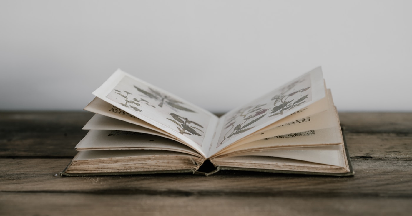 Literary Devices (2026): 50 Techniques, Organized by Effect