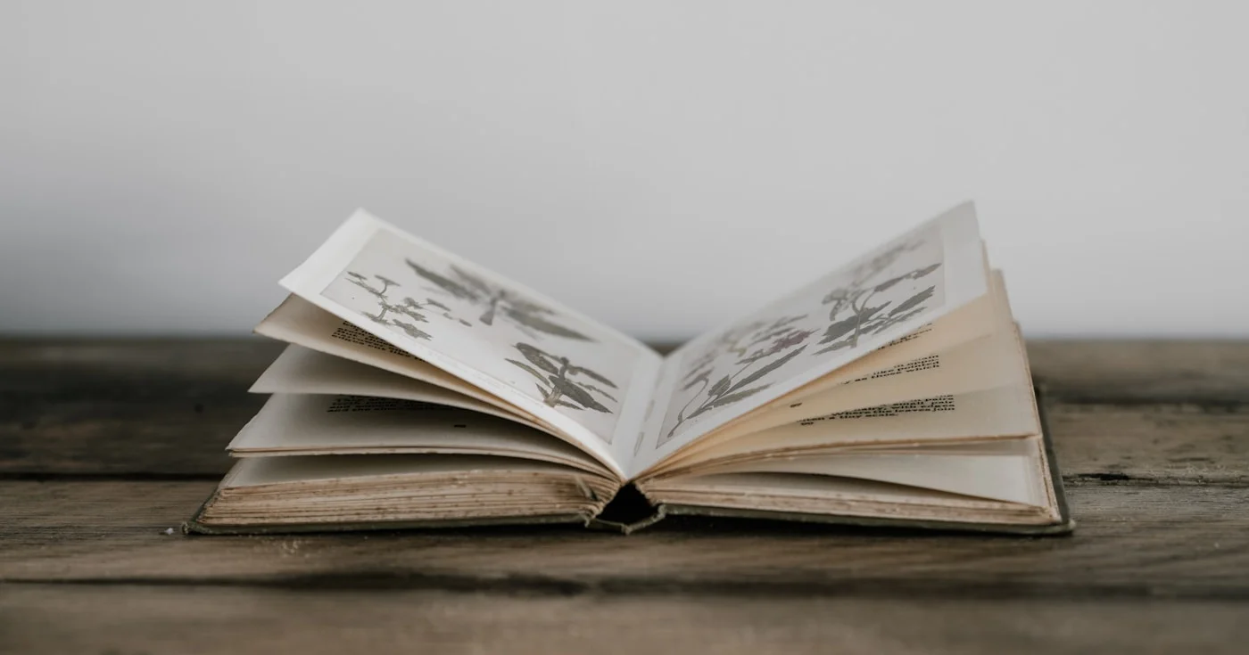 Open book with text pages — literary devices guide